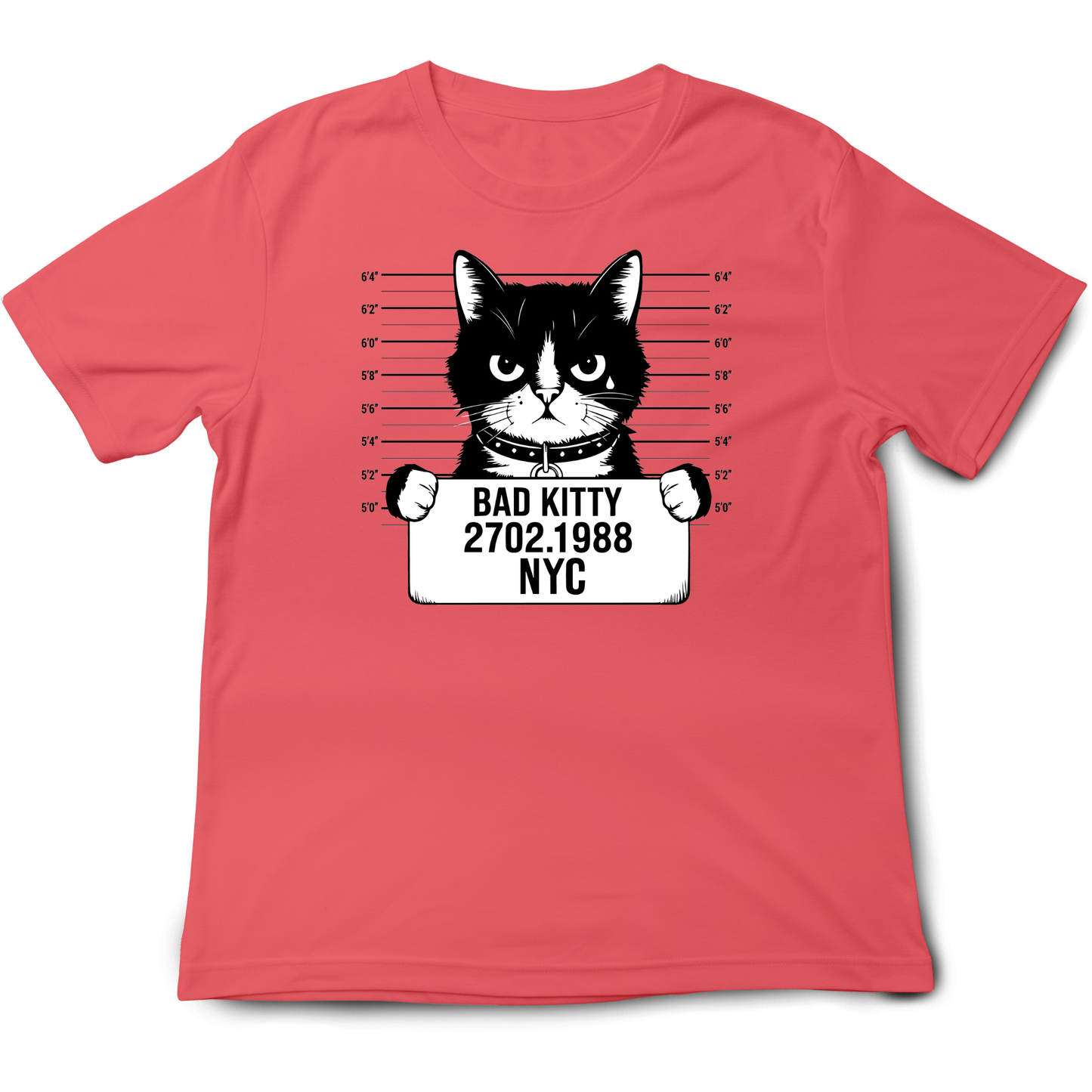 Bad Kitty