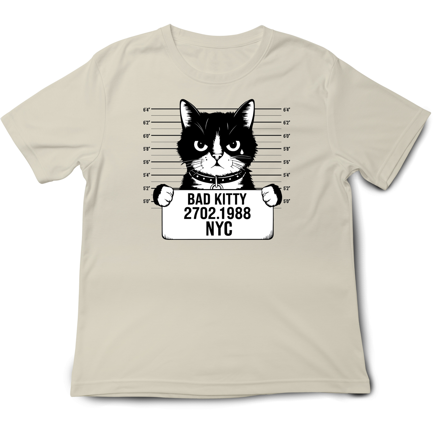 Bad Kitty