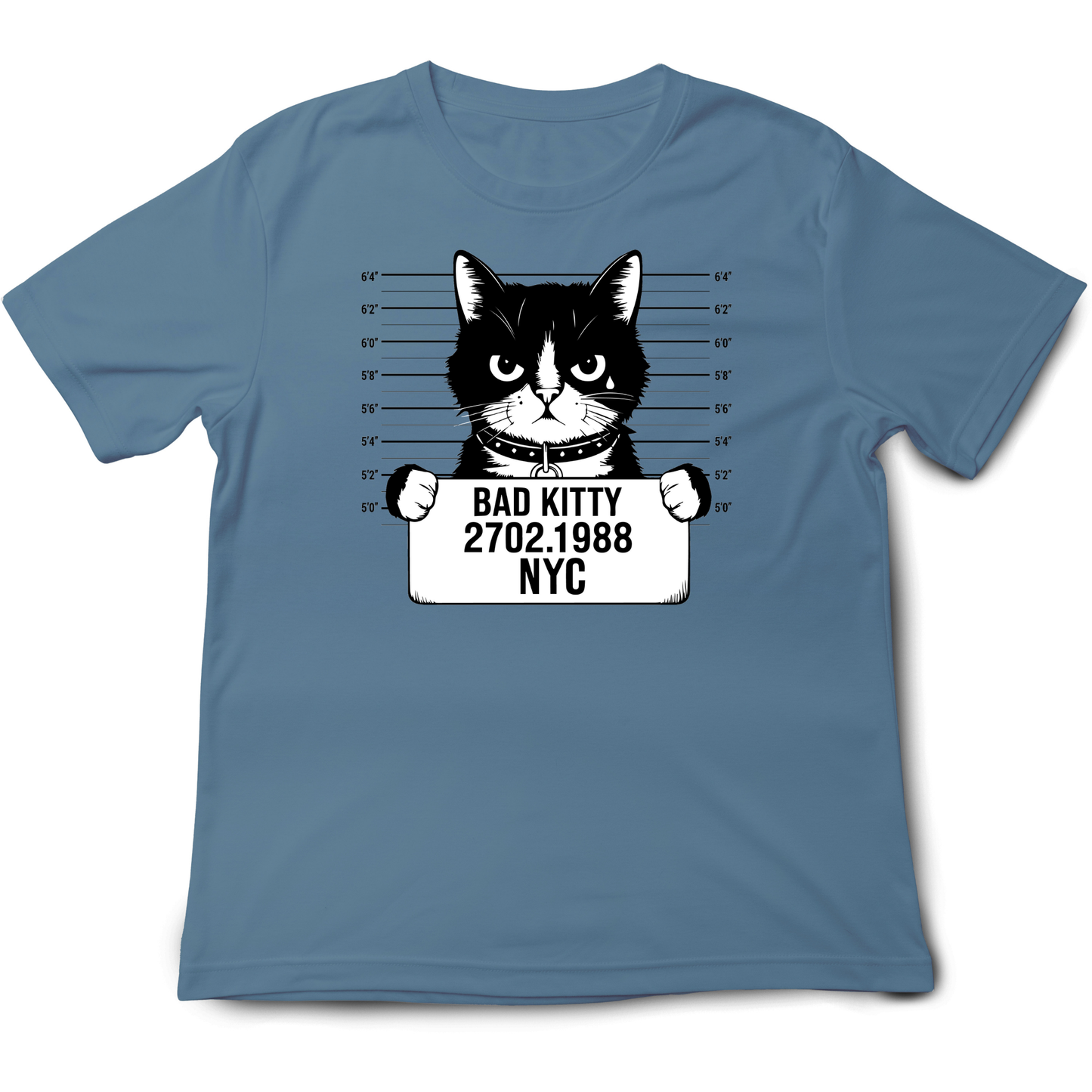 Bad Kitty